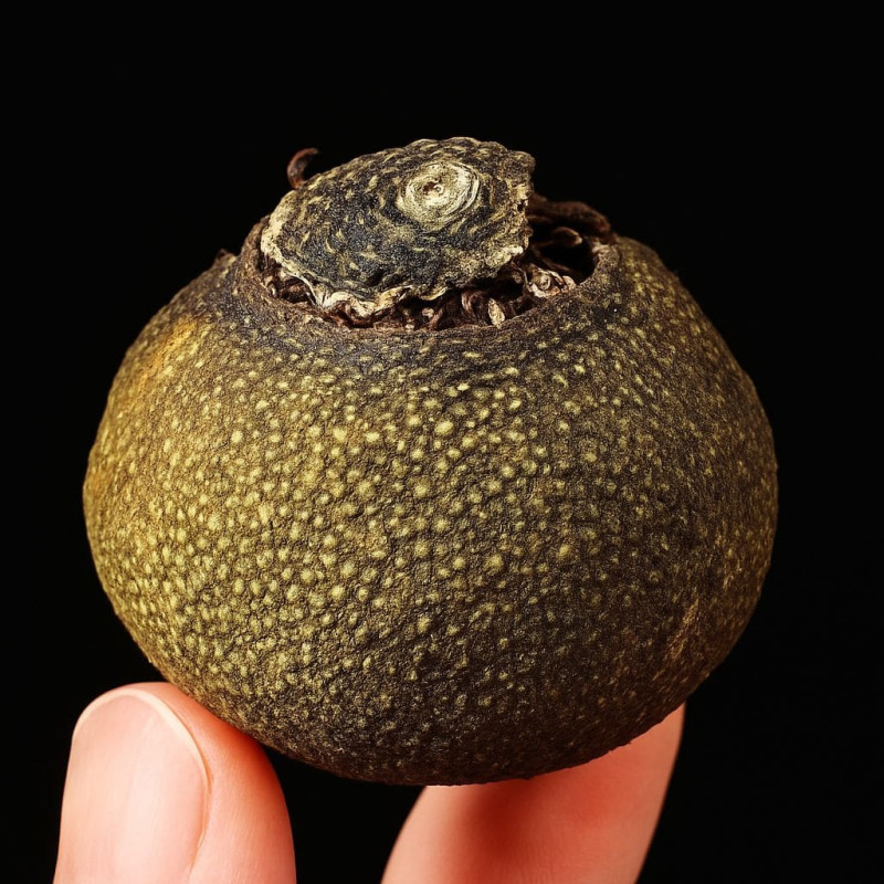 Чай пуер шу в мандарині "Сяо Цін Гань" (Xiao Qing Gan), 8 г